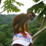 Monkeyland-Tour-Punta-Cana.4