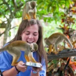 monkeyland-anamuya-web